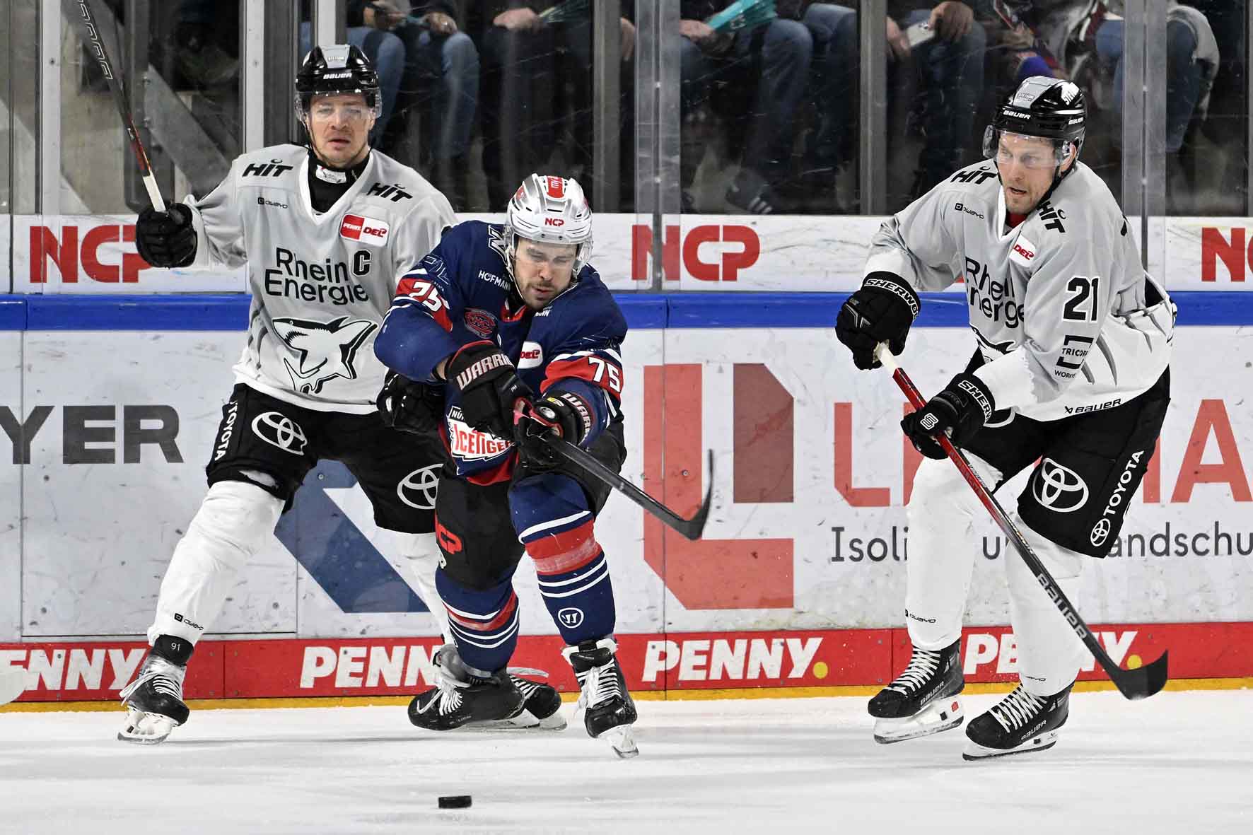 #del, #eishockey, #nit, #nuernbergicetigers, #icetigers, #puck, #pucki, #maskottchen, #nuernberg, #arena, #tor, #zuschauer, #fans, #hofmannpersonal, #vielfaltgewinnt, #keinfanohnejob, #bodin, #nergie, #wbgnuernberg,