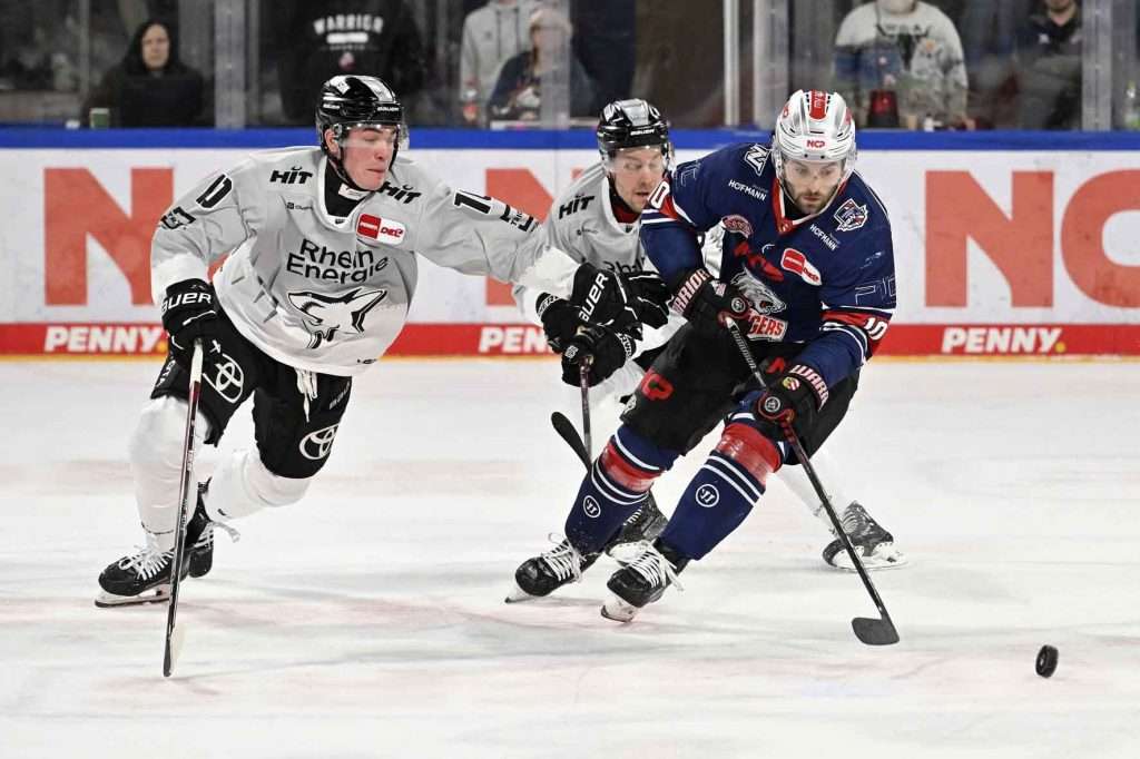 #del, #eishockey, #nit, #nuernbergicetigers, #icetigers, #puck, #pucki, #maskottchen, #nuernberg, #arena, #tor, #zuschauer, #fans, #hofmannpersonal, #vielfaltgewinnt, #keinfanohnejob, #bodin, #nergie, #wbgnuernberg,