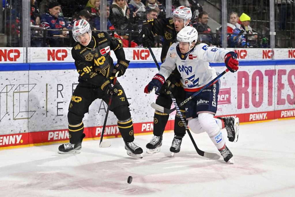 #del, #eishockey, #nit, #nuernbergicetigers, #icetigers, #puck, #pucki, #maskottchen, #nuernberg, #arena, #tor, #zuschauer, #fans, #hofmannpersonal, #vielfaltgewinnt, #keinfanohnejob, #bodin, #nergie, #wbgnuernberg,
