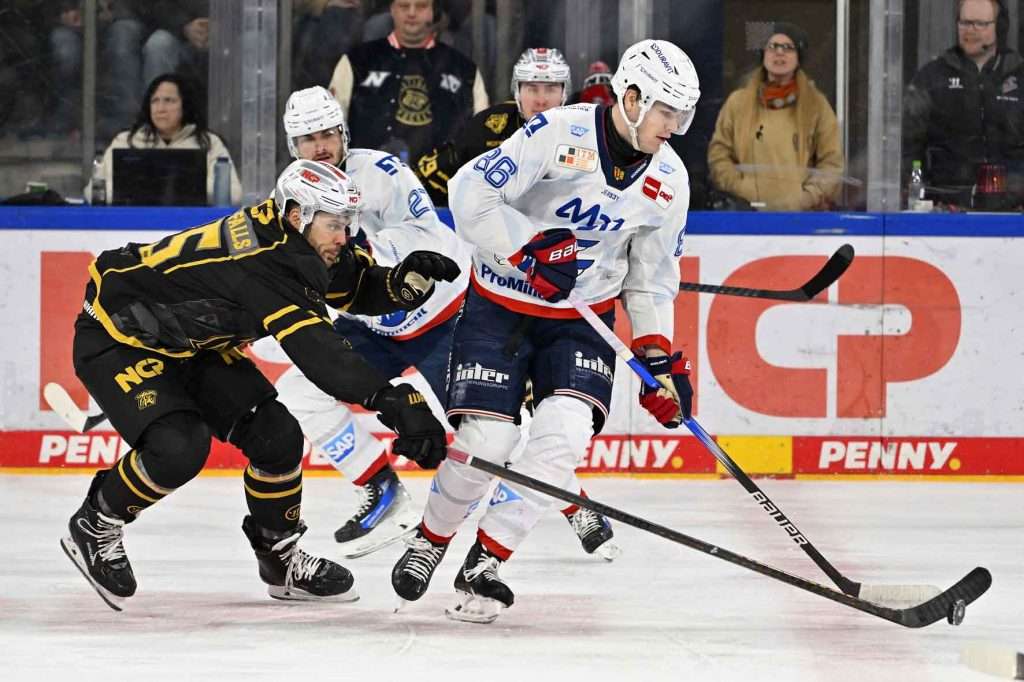 #del, #eishockey, #nit, #nuernbergicetigers, #icetigers, #puck, #pucki, #maskottchen, #nuernberg, #arena, #tor, #zuschauer, #fans, #hofmannpersonal, #vielfaltgewinnt, #keinfanohnejob, #bodin, #nergie, #wbgnuernberg,