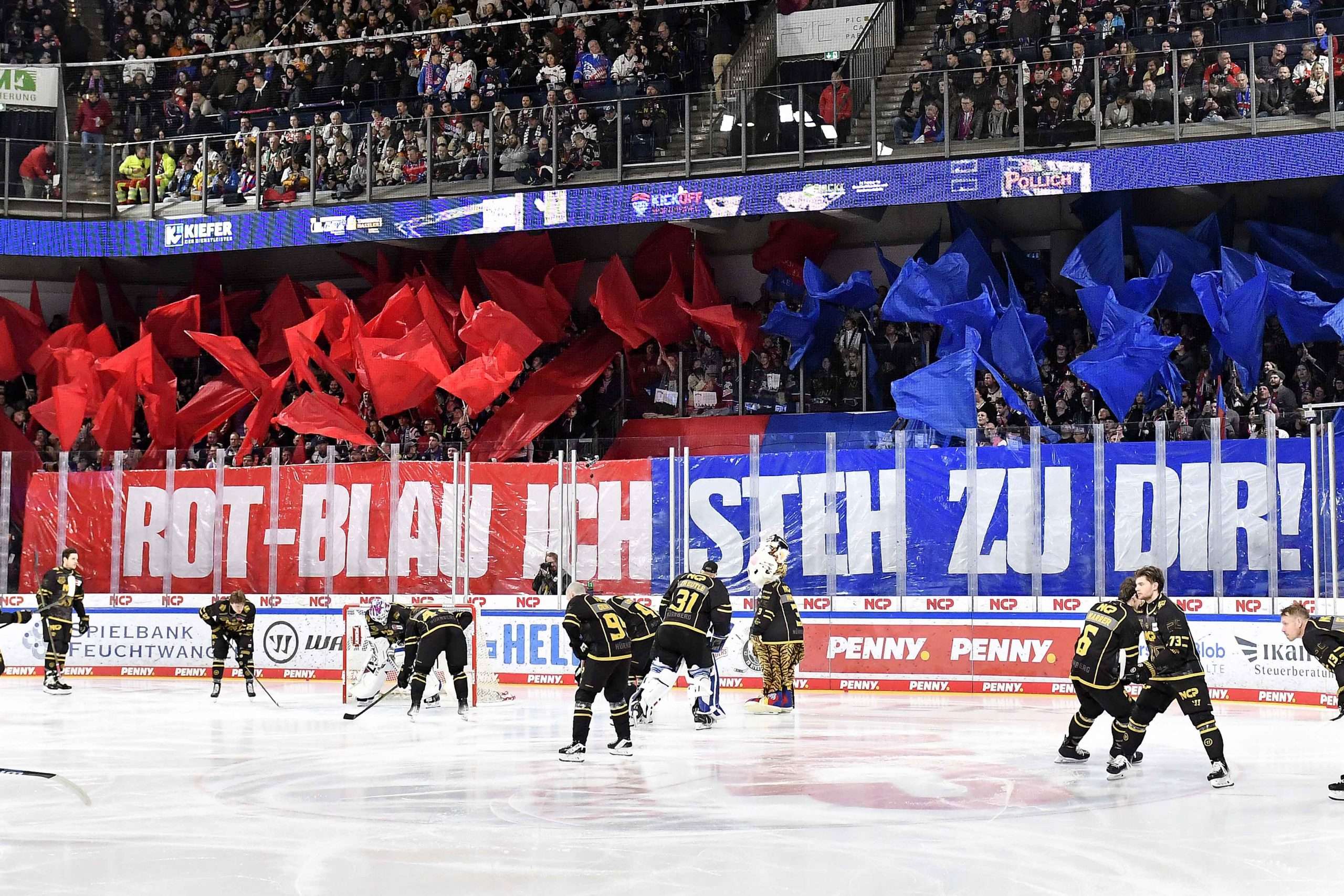 #del, #eishockey, #nit, #nuernbergicetigers, #icetigers, #puck, #pucki, #maskottchen, #nuernberg, #arena, #tor, #zuschauer, #fans, #hofmannpersonal, #vielfaltgewinnt, #keinfanohnejob, #bodin, #nergie, #wbgnuernberg,