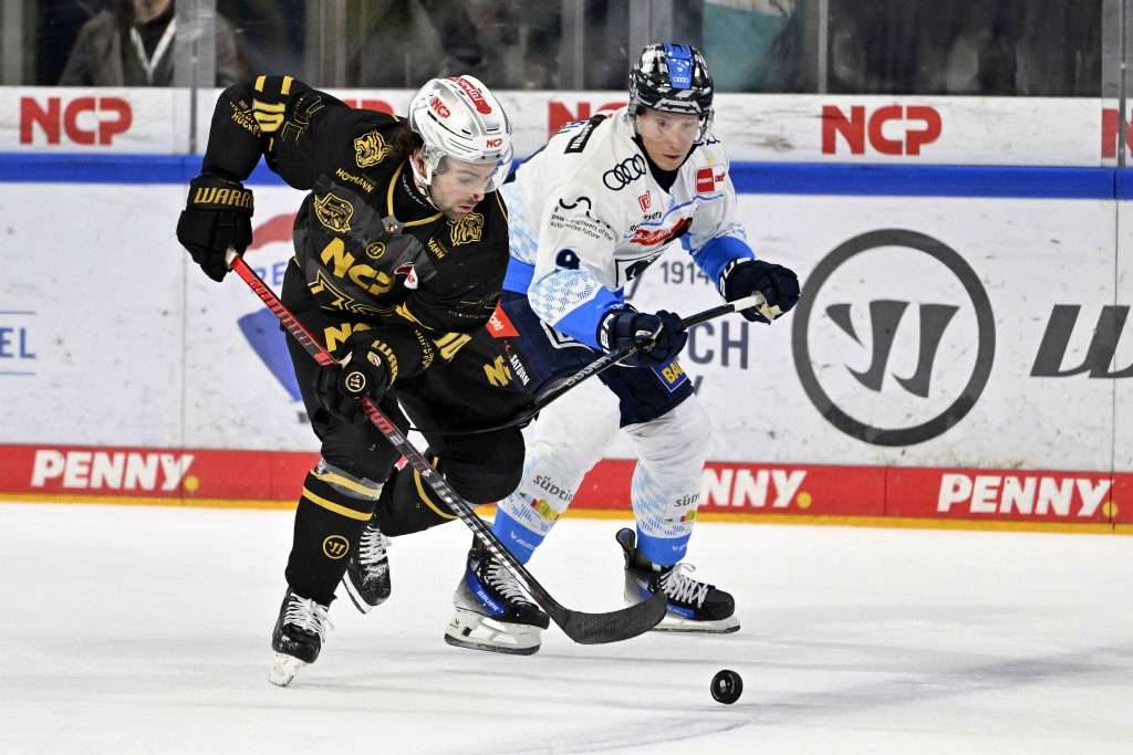 #del, #eishockey, #nit, #nuernbergicetigers, #icetigers, #puck, #pucki, #maskottchen, #nuernberg, #arena, #tor, #zuschauer, #fans, #hofmannpersonal, #vielfaltgewinnt, #keinfanohnejob, #bodin, #nergie, #wbgnuernberg,
