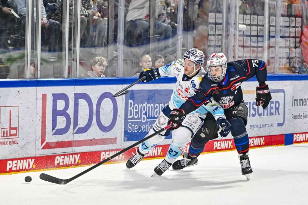 #del, #eishockey, #nit, #nuernbergicetigers, #icetigers, #puck, #pucki, #maskottchen, #nuernberg, #arena, #tor, #zuschauer, #fans, #hofmannpersonal, #vielfaltgewinnt, #keinfanohnejob, #bodin, #nergie, #wbgnuernberg,