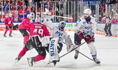 #del, #eishockey, #nit, #nuernbergicetigers, #icetigers, #puck, #pucki, #maskottchen, #nuernberg, #arena, #tor, #zuschauer, #fans, #hofmannpersonal, #vielfaltgewinnt, #keinfanohnejob, #bodin, #nergie, #wbgnuernberg,