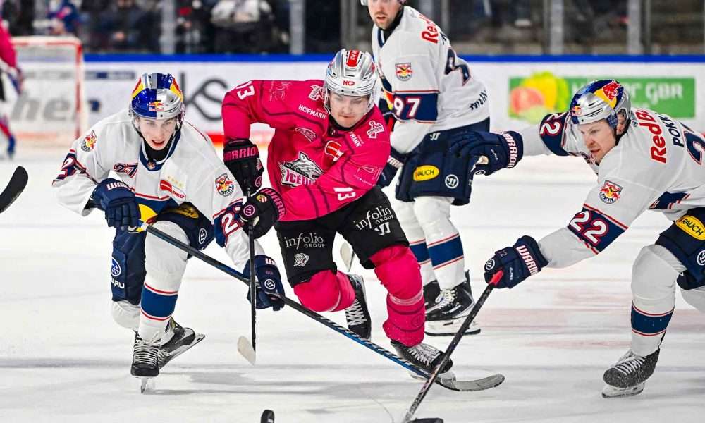 #del, #eishockey, #nit, #nuernbergicetigers, #icetigers, #puck, #pucki, #maskottchen, #nuernberg, #arena, #tor, #zuschauer, #fans, #hofmannpersonal, #vielfaltgewinnt, #keinfanohnejob, #bodin, #nergie, #wbgnuernberg,