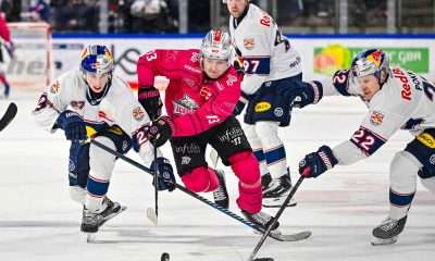 #del, #eishockey, #nit, #nuernbergicetigers, #icetigers, #puck, #pucki, #maskottchen, #nuernberg, #arena, #tor, #zuschauer, #fans, #hofmannpersonal, #vielfaltgewinnt, #keinfanohnejob, #bodin, #nergie, #wbgnuernberg,