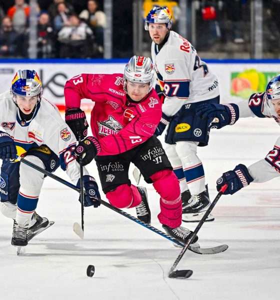 #del, #eishockey, #nit, #nuernbergicetigers, #icetigers, #puck, #pucki, #maskottchen, #nuernberg, #arena, #tor, #zuschauer, #fans, #hofmannpersonal, #vielfaltgewinnt, #keinfanohnejob, #bodin, #nergie, #wbgnuernberg,