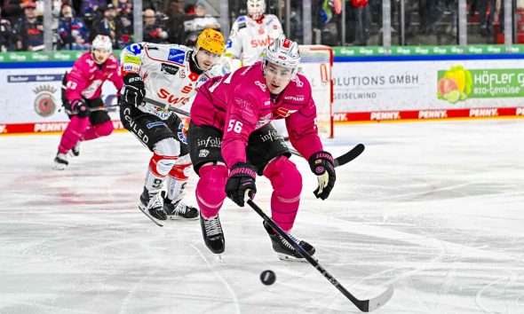 #del, #eishockey, #nit, #nuernbergicetigers, #icetigers, #puck, #pucki, #maskottchen, #nuernberg, #arena, #tor, #zuschauer, #fans, #hofmannpersonal, #vielfaltgewinnt, #keinfanohnejob, #bodin, #nergie, #wbgnuernberg,