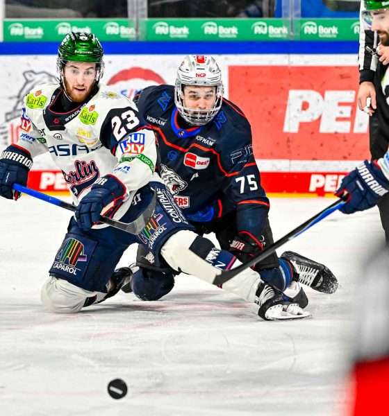 #del, #eishockey, #nit, #nuernbergicetigers, #icetigers, #puck, #pucki, #maskottchen, #nuernberg, #arena, #tor, #zuschauer, #fans, #hofmannpersonal, #vielfaltgewinnt, #keinfanohnejob, #bodin, #nergie, #wbgnuernberg,