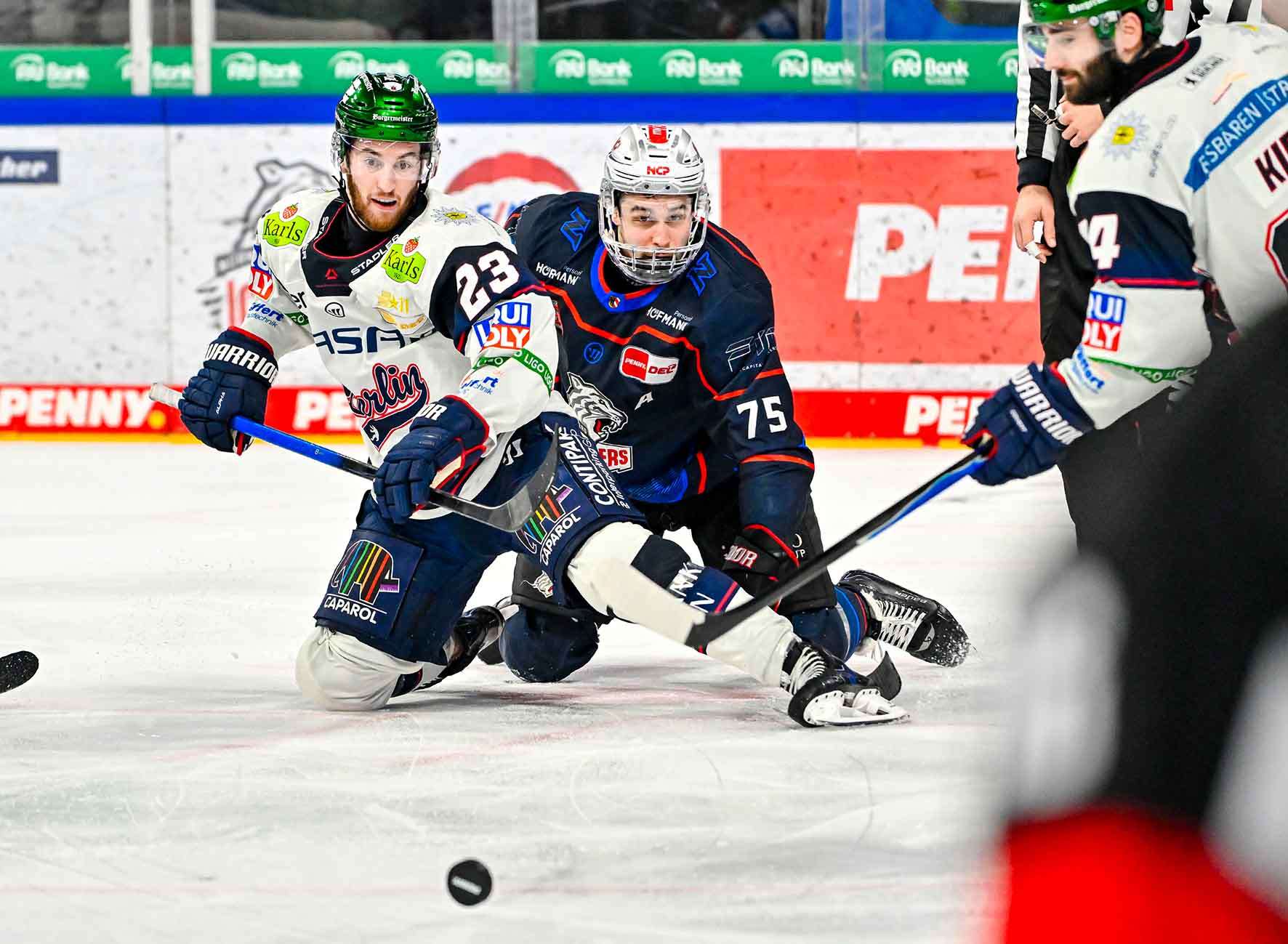 #del, #eishockey, #nit, #nuernbergicetigers, #icetigers, #puck, #pucki, #maskottchen, #nuernberg, #arena, #tor, #zuschauer, #fans, #hofmannpersonal, #vielfaltgewinnt, #keinfanohnejob, #bodin, #nergie, #wbgnuernberg,