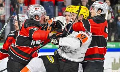 #del, #eishockey, #nit, #nuernbergicetigers, #icetigers, #puck, #pucki, #maskottchen, #nuernberg, #arena, #tor, #zuschauer, #fans, #hofmannpersonal, #vielfaltgewinnt, #keinfanohnejob, #bodin, #nergie, #wbgnuernberg,