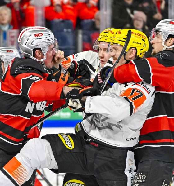 #del, #eishockey, #nit, #nuernbergicetigers, #icetigers, #puck, #pucki, #maskottchen, #nuernberg, #arena, #tor, #zuschauer, #fans, #hofmannpersonal, #vielfaltgewinnt, #keinfanohnejob, #bodin, #nergie, #wbgnuernberg,