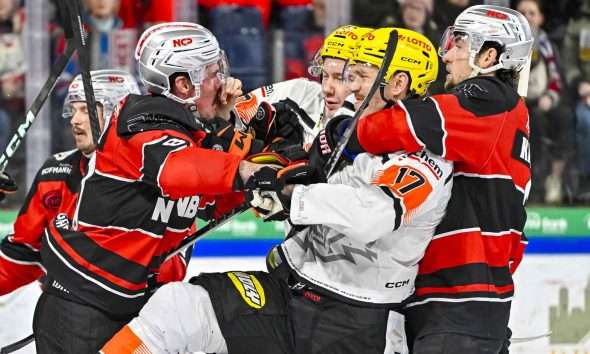 #del, #eishockey, #nit, #nuernbergicetigers, #icetigers, #puck, #pucki, #maskottchen, #nuernberg, #arena, #tor, #zuschauer, #fans, #hofmannpersonal, #vielfaltgewinnt, #keinfanohnejob, #bodin, #nergie, #wbgnuernberg,