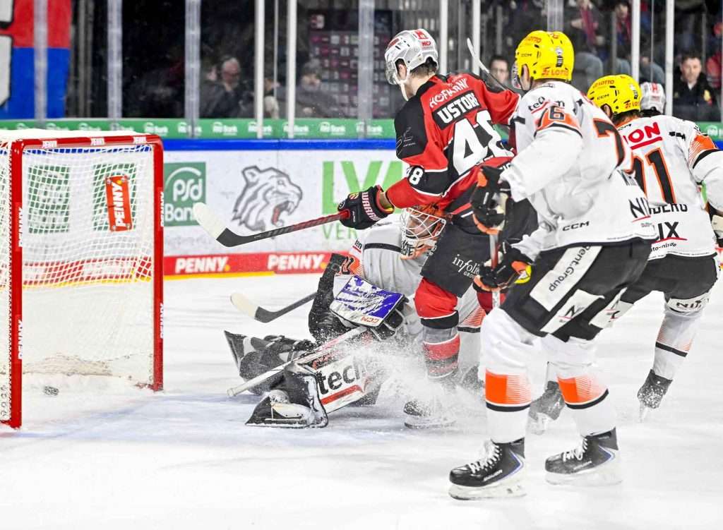 #del, #eishockey, #nit, #nuernbergicetigers, #icetigers, #puck, #pucki, #maskottchen, #nuernberg, #arena, #tor, #zuschauer, #fans, #hofmannpersonal, #vielfaltgewinnt, #keinfanohnejob, #bodin, #nergie, #wbgnuernberg,