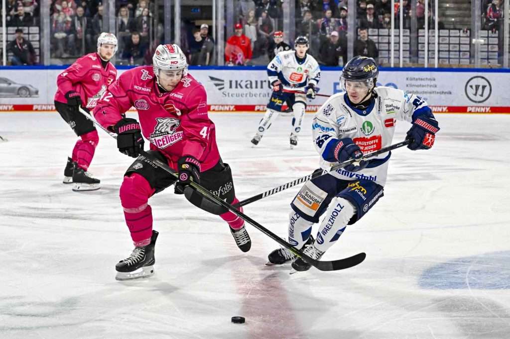 #del, #eishockey, #nit, #nuernbergicetigers, #icetigers, #puck, #pucki, #maskottchen, #nuernberg, #arena, #tor, #zuschauer, #fans, #hofmannpersonal, #vielfaltgewinnt, #keinfanohnejob, #bodin, #nergie, #wbgnuernberg,