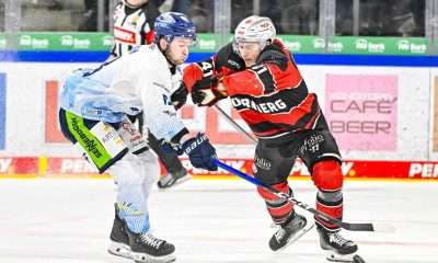 #del, #eishockey, #nit, #nuernbergicetigers, #icetigers, #puck, #pucki, #maskottchen, #nuernberg, #arena, #tor, #zuschauer, #fans, #hofmannpersonal, #vielfaltgewinnt, #keinfanohnejob, #bodin, #nergie, #wbgnuernberg,