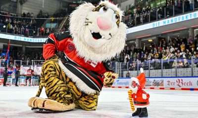 #del, #eishockey, #nit, #nuernbergicetigers, #icetigers, #puck, #pucki, #maskottchen, #nuernberg, #arena, #tor, #zuschauer, #fans, #hofmannpersonal, #vielfaltgewinnt, #keinfanohnejob, #bodin, #nergie, #wbgnuernberg, #höflergemüse, #lorzservice, #bmwnuernberg, #nergie, #orangekey, #roeschke, #tucher, #ehc80,