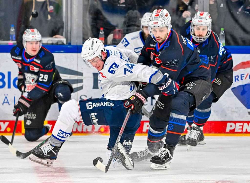#del, #eishockey, #nit, #nuernbergicetigers, #icetigers, #puck, #pucki, #maskottchen, #nuernberg, #arena, #tor, #zuschauer, #fans, #hofmannpersonal, #vielfaltgewinnt, #keinfanohnejob, #bodin, #nergie, #wbgnuernberg,