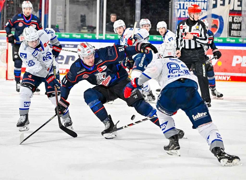 #del, #eishockey, #nit, #nuernbergicetigers, #icetigers, #puck, #pucki, #maskottchen, #nuernberg, #arena, #tor, #zuschauer, #fans, #hofmannpersonal, #vielfaltgewinnt, #keinfanohnejob, #bodin, #nergie, #wbgnuernberg,