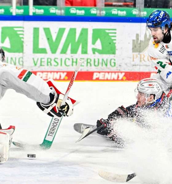 #del, #eishockey, #nit, #nuernbergicetigers, #icetigers, #puck, #pucki, #maskottchen, #nuernberg, #arena, #tor, #zuschauer, #fans, #hofmannpersonal, #vielfaltgewinnt, #keinfanohnejob, #bodin, #nergie, #wbgnuernberg,