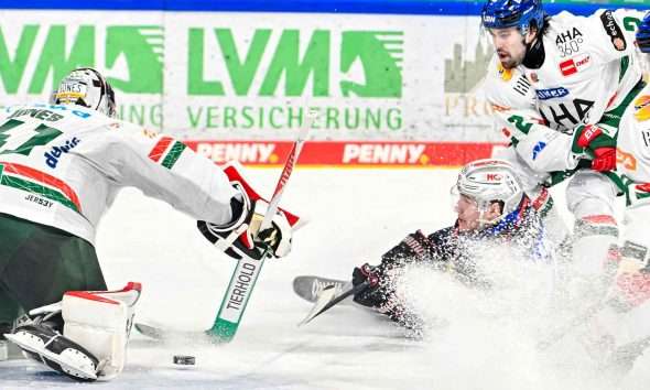 #del, #eishockey, #nit, #nuernbergicetigers, #icetigers, #puck, #pucki, #maskottchen, #nuernberg, #arena, #tor, #zuschauer, #fans, #hofmannpersonal, #vielfaltgewinnt, #keinfanohnejob, #bodin, #nergie, #wbgnuernberg,