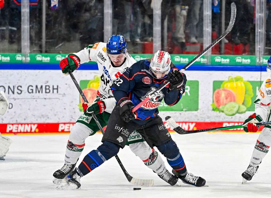 #del, #eishockey, #nit, #nuernbergicetigers, #icetigers, #puck, #pucki, #maskottchen, #nuernberg, #arena, #tor, #zuschauer, #fans, #hofmannpersonal, #vielfaltgewinnt, #keinfanohnejob, #bodin, #nergie, #wbgnuernberg,