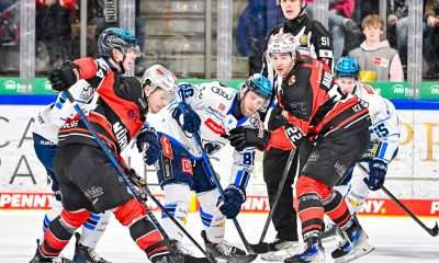 #del, #eishockey, #nit, #nuernbergicetigers, #icetigers, #puck, #pucki, #maskottchen, #nuernberg, #arena, #tor, #zuschauer, #fans, #hofmannpersonal, #vielfaltgewinnt, #keinfanohnejob, #bodin, #nergie, #wbgnuernberg,