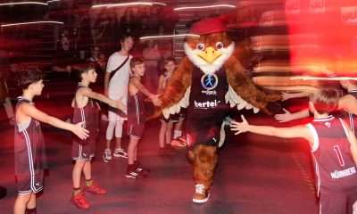 #bbl, #basketball, #proa, #nuernbergfalcons, #nuernberg, #falcons, #nbc, #kiametropolarena, #sparkassenuernberg, #nergie, #wbgnuernberg, #hofmannpersonal, #barmerliga, #nuebasketball, #vielfaltgewinnt, #keinfanohnejob, #norisblockers,