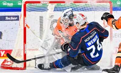 #del, #eishockey, #nit, #nuernbergicetigers, #icetigers, #puck, #pucki, #maskottchen, #nuernberg, #arena, #tor, #zuschauer, #fans, #hofmannpersonal, #vielfaltgewinnt, #keinfanohnejob, #bodin, #nergie, #wbgnuernberg,