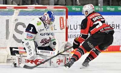 #del, #eishockey, #nit, #nuernbergicetigers, #icetigers, #puck, #pucki, #maskottchen, #nuernberg, #arena, #tor, #zuschauer, #fans, #hofmannpersonal, #vielfaltgewinnt, #keinfanohnejob, #bodin, #nergie, #wbgnuernberg,