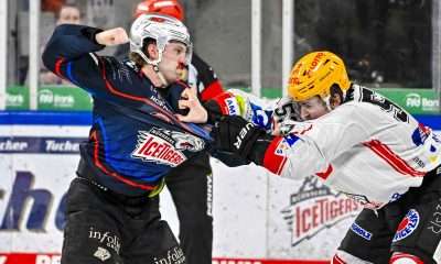 #del, #eishockey, #nit, #nuernbergicetigers, #icetigers, #puck, #pucki, #maskottchen, #nuernberg, #arena, #tor, #zuschauer, #fans, #hofmannpersonal, #vielfaltgewinnt, #keinfanohnejob, #bodin, #nergie, #wbgnuernberg,