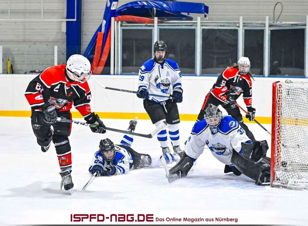 #del, #eishockey, #nit, #nuernbergicetigers, #icetigers, #puck, #pucki, #maskottchen, #nuernberg, #arena, #tor, #zuschauer, #fans, #hofmannpersonal, #vielfaltgewinnt, #keinfanohnejob, #bodin, #nergie, #wbgnuernberg, #dnhl1, dnhl7, #knights, #eisbären, #lauf,