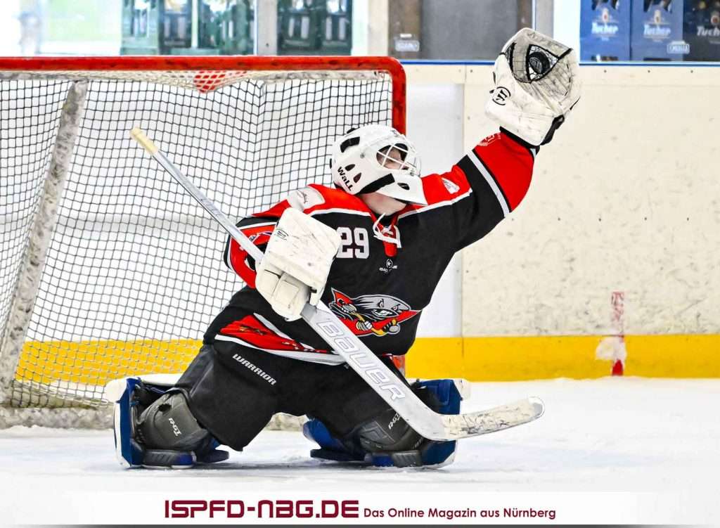 #del, #eishockey, #nit, #nuernbergicetigers, #icetigers, #puck, #pucki, #maskottchen, #nuernberg, #arena, #tor, #zuschauer, #fans, #hofmannpersonal, #vielfaltgewinnt, #keinfanohnejob, #bodin, #nergie, #wbgnuernberg, #dnhl1, dnhl7, #knights, #eisbären, #lauf,