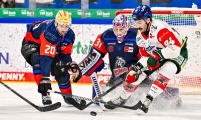 #del, #eishockey, #nit, #nuernbergicetigers, #icetigers, #puck, #pucki, #maskottchen, #nuernberg, #arena, #tor, #zuschauer, #fans, #hofmannpersonal, #vielfaltgewinnt, #keinfanohnejob, #bodin, #nergie, #wbgnuernberg, #martinroth, #liebichpartner,