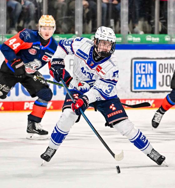 #del, #eishockey, #nit, #nuernbergicetigers, #icetigers, #puck, #pucki, #maskottchen, #nuernberg, #arena, #tor, #zuschauer, #fans, #hofmannpersonal, #vielfaltgewinnt, #keinfanohnejob, #bodin, #nergie, #wbgnuernberg, #martinroth, #liebichpartner,