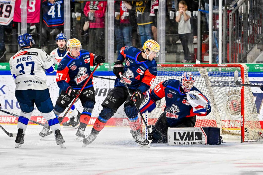 #del, #eishockey, #nit, #nuernbergicetigers, #icetigers, #puck, #pucki, #maskottchen, #nuernberg, #arena, #tor, #zuschauer, #fans, #hofmannpersonal, #vielfaltgewinnt, #keinfanohnejob, #bodin, #nergie, #wbgnuernberg, #martinroth, #liebichpartner,