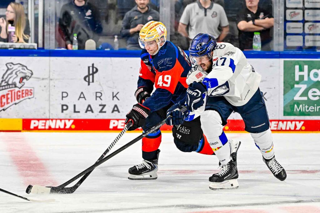 #del, #eishockey, #nit, #nuernbergicetigers, #icetigers, #puck, #pucki, #maskottchen, #nuernberg, #arena, #tor, #zuschauer, #fans, #hofmannpersonal, #vielfaltgewinnt, #keinfanohnejob, #bodin, #nergie, #wbgnuernberg, #martinroth, #liebichpartner,