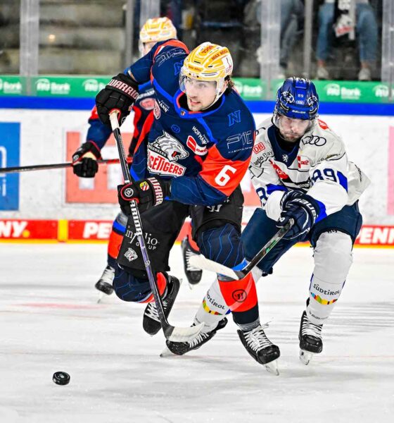 #del, #eishockey, #nit, #nuernbergicetigers, #icetigers, #puck, #pucki, #maskottchen, #nuernberg, #arena, #tor, #zuschauer, #fans, #hofmannpersonal, #vielfaltgewinnt, #keinfanohnejob, #bodin, #nergie, #wbgnuernberg, #martinroth, #liebichpartner,