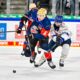 #del, #eishockey, #nit, #nuernbergicetigers, #icetigers, #puck, #pucki, #maskottchen, #nuernberg, #arena, #tor, #zuschauer, #fans, #hofmannpersonal, #vielfaltgewinnt, #keinfanohnejob, #bodin, #nergie, #wbgnuernberg, #martinroth, #liebichpartner,