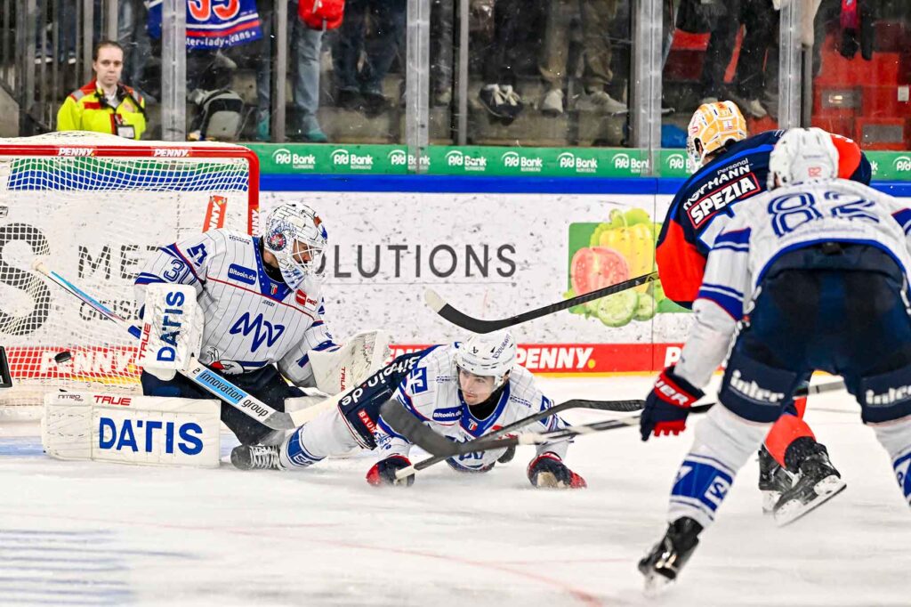 #del, #eishockey, #nit, #nuernbergicetigers, #icetigers, #puck, #pucki, #maskottchen, #nuernberg, #arena, #tor, #zuschauer, #fans, #hofmannpersonal, #vielfaltgewinnt, #keinfanohnejob, #bodin, #nergie, #wbgnuernberg, #martinroth, #liebichpartner,