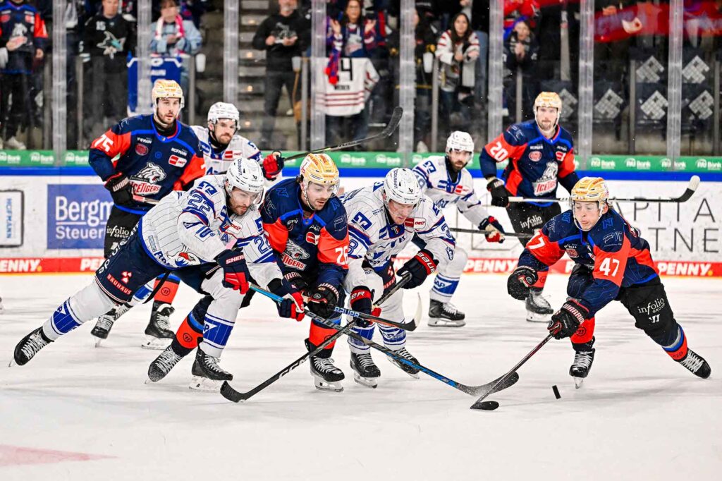 #del, #eishockey, #nit, #nuernbergicetigers, #icetigers, #puck, #pucki, #maskottchen, #nuernberg, #arena, #tor, #zuschauer, #fans, #hofmannpersonal, #vielfaltgewinnt, #keinfanohnejob, #bodin, #nergie, #wbgnuernberg, #martinroth, #liebichpartner,