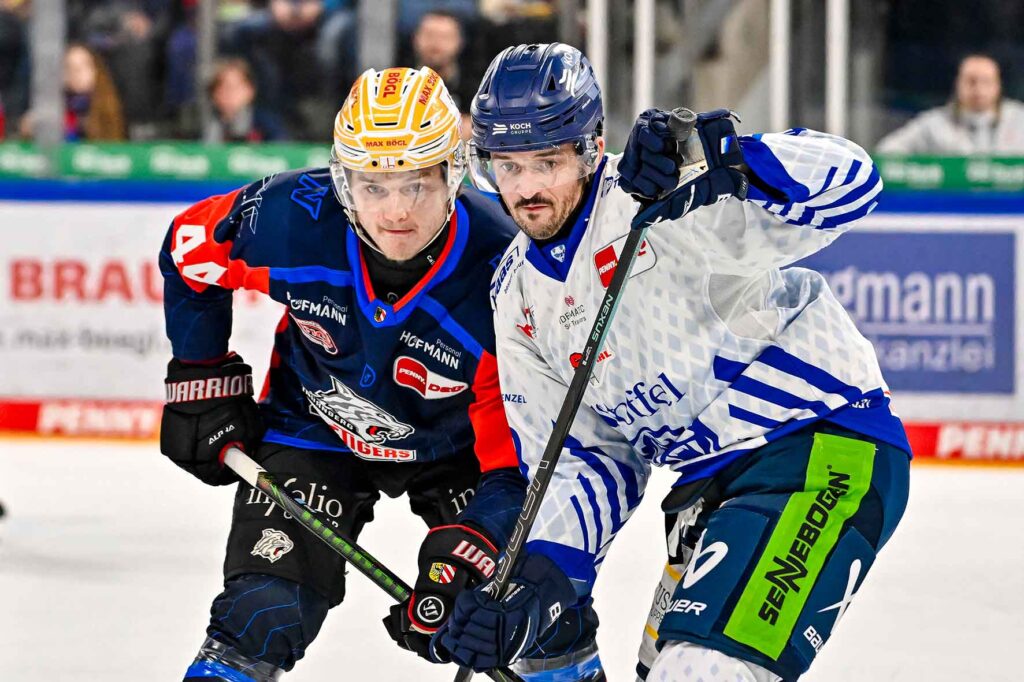 #del, #eishockey, #nit, #nuernbergicetigers, #icetigers, #puck, #pucki, #maskottchen, #nuernberg, #arena, #tor, #zuschauer, #fans, #hofmannpersonal, #vielfaltgewinnt, #keinfanohnejob, #bodin, #nergie, #wbgnuernberg, #martinroth, #liebichpartner,