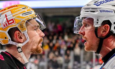 #del, #eishockey, #nit, #nuernbergicetigers, #icetigers, #puck, #pucki, #maskottchen, #nuernberg, #arena, #tor, #zuschauer, #fans, #hofmannpersonal, #vielfaltgewinnt, #keinfanohnejob, #bodin, #nergie, #wbgnuernberg, #martinroth, #liebichpartner,