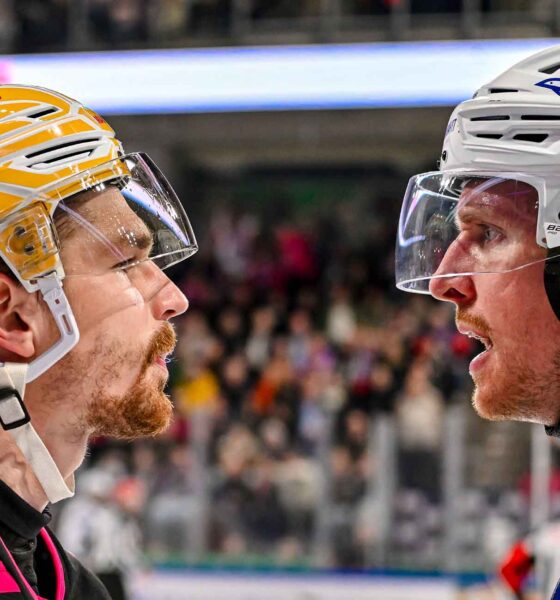 #del, #eishockey, #nit, #nuernbergicetigers, #icetigers, #puck, #pucki, #maskottchen, #nuernberg, #arena, #tor, #zuschauer, #fans, #hofmannpersonal, #vielfaltgewinnt, #keinfanohnejob, #bodin, #nergie, #wbgnuernberg, #martinroth, #liebichpartner,