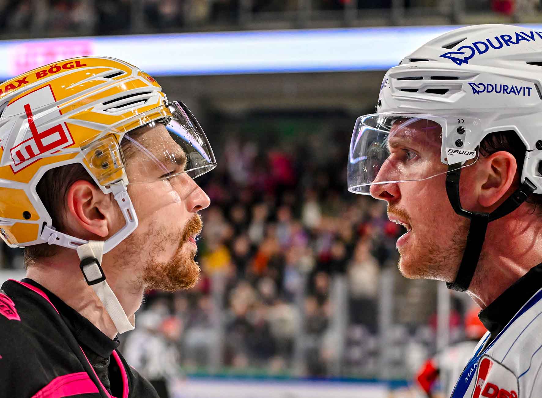 #del, #eishockey, #nit, #nuernbergicetigers, #icetigers, #puck, #pucki, #maskottchen, #nuernberg, #arena, #tor, #zuschauer, #fans, #hofmannpersonal, #vielfaltgewinnt, #keinfanohnejob, #bodin, #nergie, #wbgnuernberg, #martinroth, #liebichpartner,
