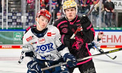#del, #eishockey, #nit, #nuernbergicetigers, #icetigers, #puck, #pucki, #maskottchen, #nuernberg, #arena, #tor, #zuschauer, #fans, #hofmannpersonal, #vielfaltgewinnt, #keinfanohnejob, #bodin, #nergie, #wbgnuernberg, #martinroth, #liebichpartner,