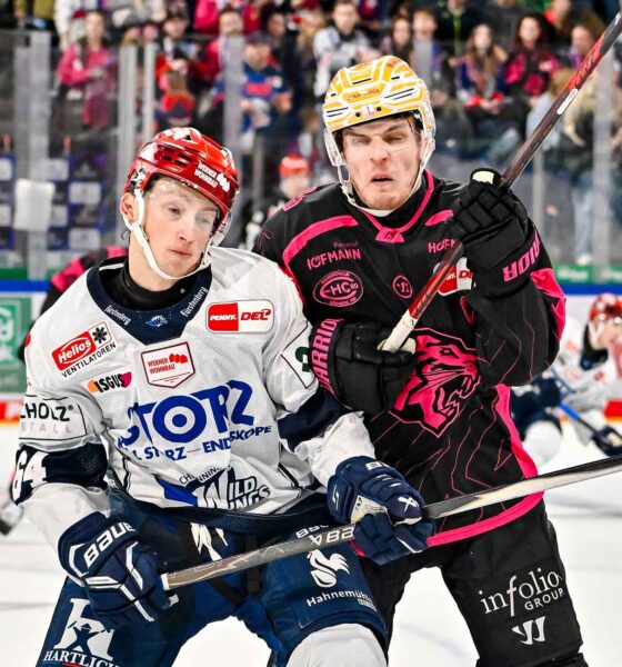 #del, #eishockey, #nit, #nuernbergicetigers, #icetigers, #puck, #pucki, #maskottchen, #nuernberg, #arena, #tor, #zuschauer, #fans, #hofmannpersonal, #vielfaltgewinnt, #keinfanohnejob, #bodin, #nergie, #wbgnuernberg, #martinroth, #liebichpartner,