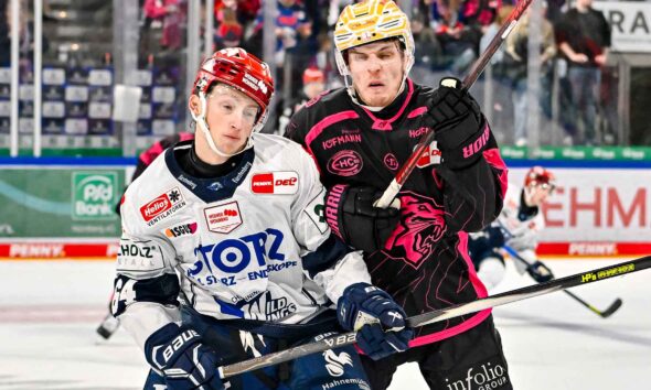 #del, #eishockey, #nit, #nuernbergicetigers, #icetigers, #puck, #pucki, #maskottchen, #nuernberg, #arena, #tor, #zuschauer, #fans, #hofmannpersonal, #vielfaltgewinnt, #keinfanohnejob, #bodin, #nergie, #wbgnuernberg, #martinroth, #liebichpartner,