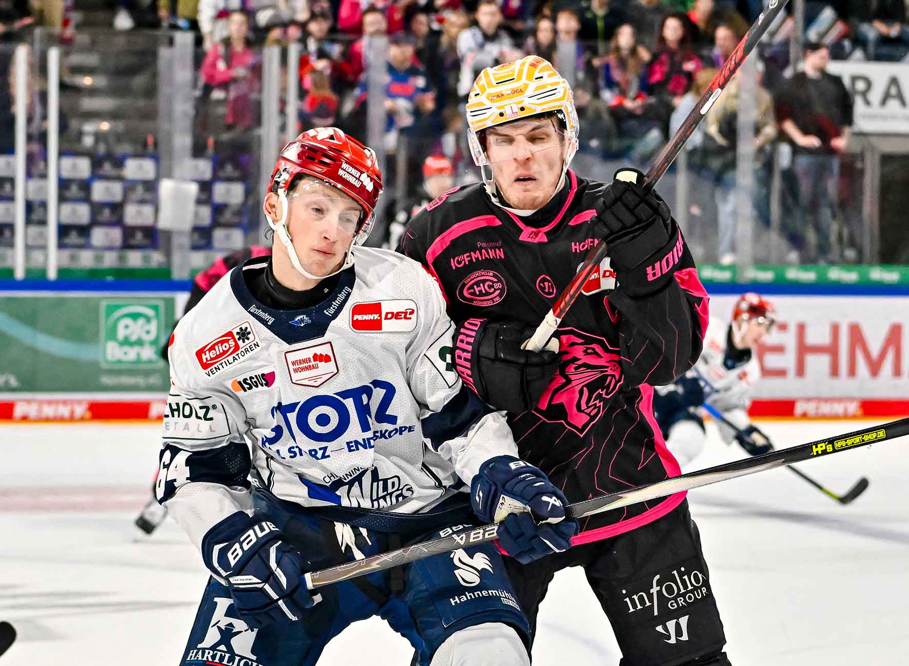 #del, #eishockey, #nit, #nuernbergicetigers, #icetigers, #puck, #pucki, #maskottchen, #nuernberg, #arena, #tor, #zuschauer, #fans, #hofmannpersonal, #vielfaltgewinnt, #keinfanohnejob, #bodin, #nergie, #wbgnuernberg, #martinroth, #liebichpartner,