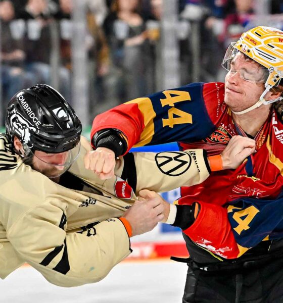 #del, #eishockey, #nit, #nuernbergicetigers, #icetigers, #puck, #pucki, #maskottchen, #nuernberg, #arena, #tor, #zuschauer, #fans, #hofmannpersonal, #vielfaltgewinnt, #keinfanohnejob, #bodin, #nergie, #wbgnuernberg, #martinroth, #liebichpartner,